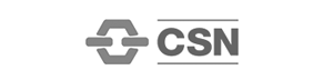 Logo CSN GRAY RGB