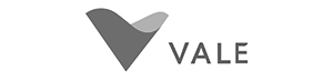 Logo Vale GRAY RGB